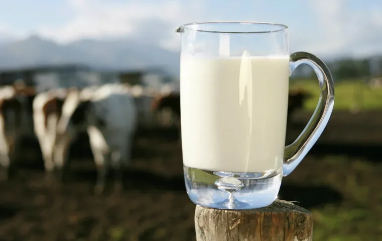manfaat susu murni dan kandungannya